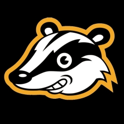 Badger avatar